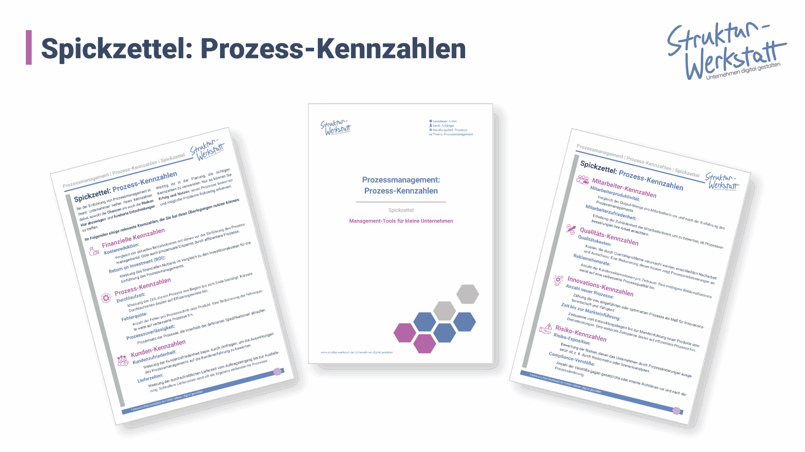 Preview Anleitung Basiswissen Spickzettel Prozess-Kennzahlen