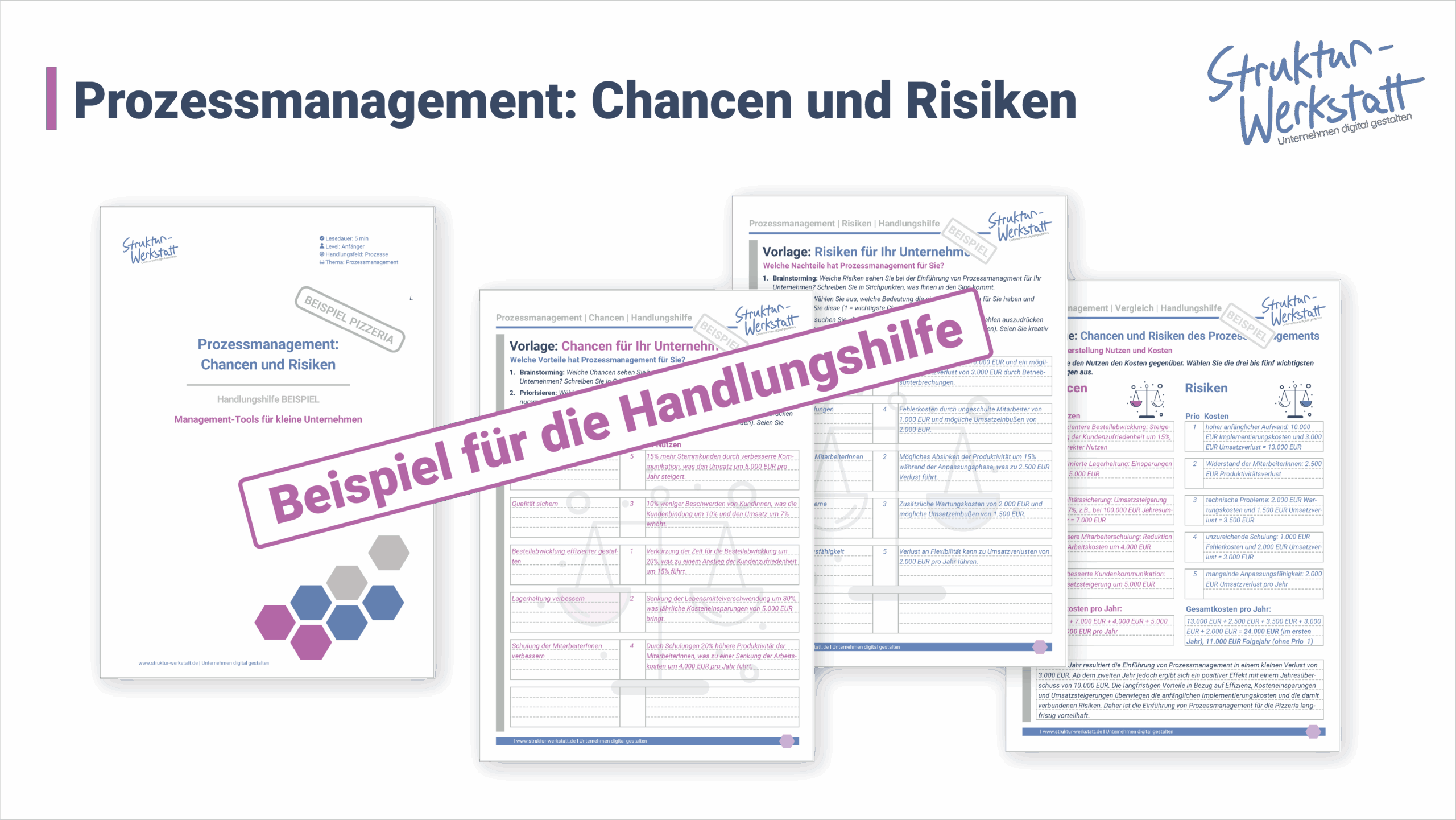 Preview Anleitung Prozessmanagement Chancen Risiken Gründliche Beispiel